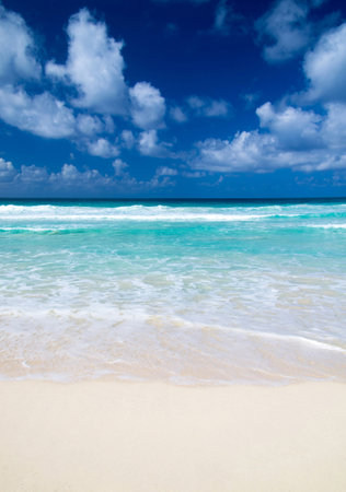 summer concept. tropical beach the oceanの写真素材