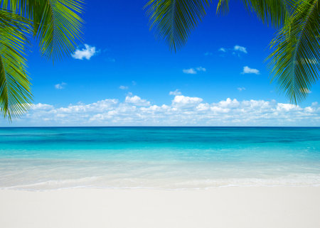 beautiful beach and tropical seaの写真素材