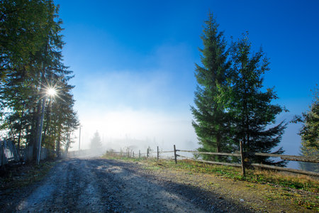 Carpathian mountain sunny landscapeの写真素材