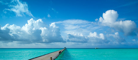 tropical Maldives island with white sandy beach and seaの写真素材