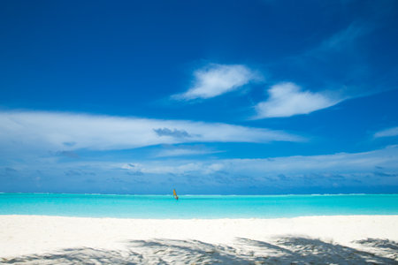beautiful beach and tropical seaの写真素材