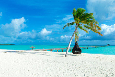 tropical Maldives island with white sandy beach and seaの写真素材
