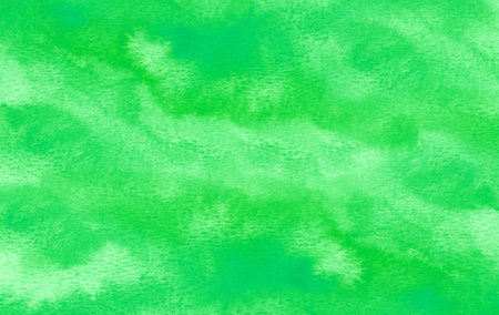 abstract green watercolor background on paper.の写真素材