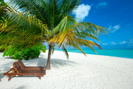 beautiful beach and tropical seaの写真素材