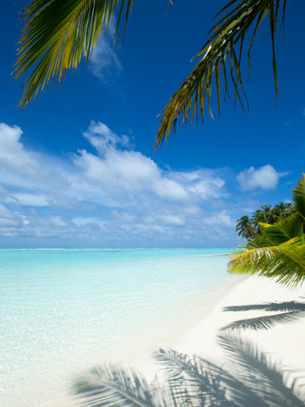 tropical Maldives island with white sandy beach and seaの写真素材