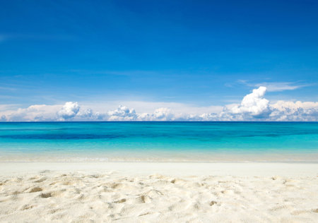 Beautiful tropical Maldives island with beach.の写真素材