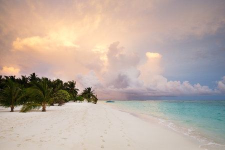 Colorful sunset over ocean on tropical islandの写真素材