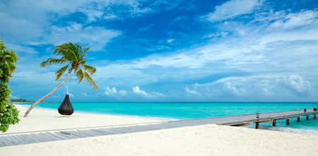 tropical Maldives island with white sandy beach and sea. palmの写真素材