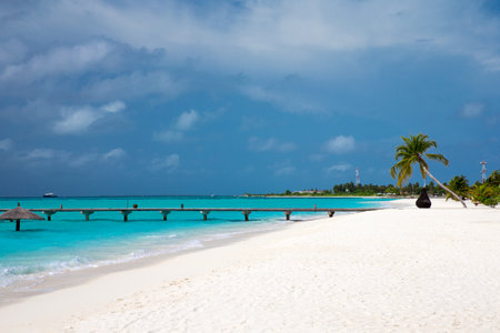 tropical Maldives island with white sandy beach and sea. palmの写真素材