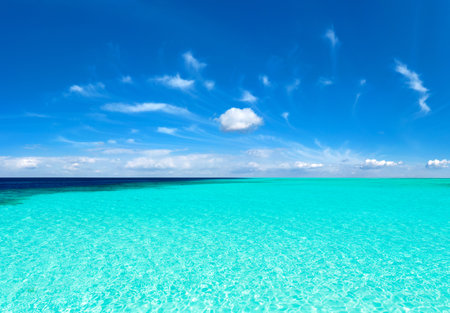 tropical Maldives island with white sandy beach and seaの写真素材