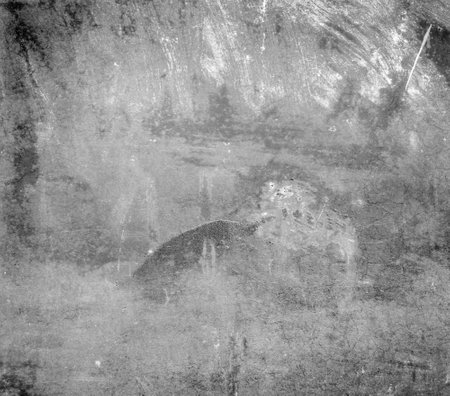 Grunge background with space for textの写真素材