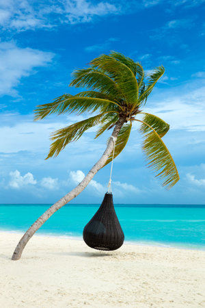 tropical Maldives island with white sandy beach and seaの写真素材