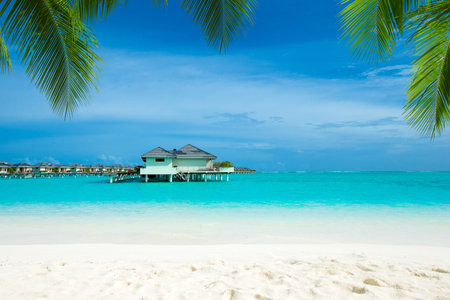 tropical Maldives island with white sandy beach and seaの写真素材