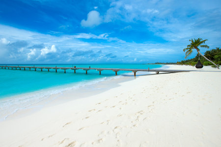 beautiful beach and tropical seaの写真素材