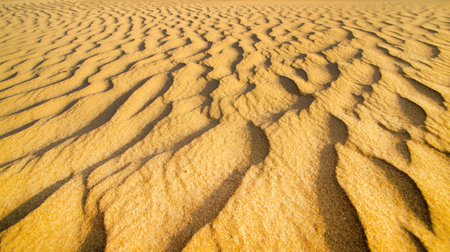 Sand dunes. landscape of golden sand dune with blue sky in desert