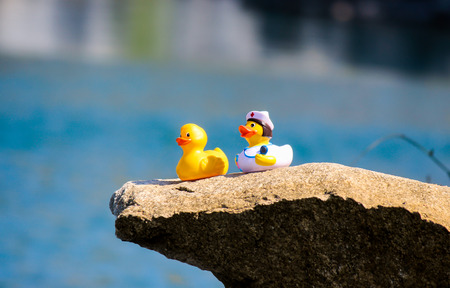 Ducks on the edge of the cliffの写真素材