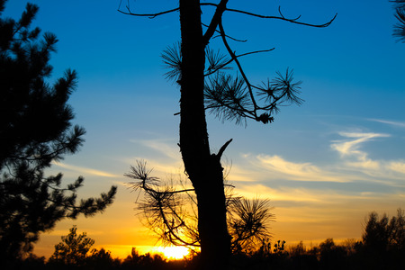 beautiful parkの写真素材