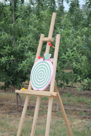 Playing darts on an apple-shaped dart board outdoorの写真素材