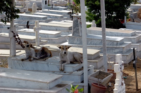 PAKISTAN_KARACHI_Pakistani christians in grief for young christians female Rubeeca Olaf Jonordgo Olaf Jinordgo which she died with heart stroke, Sshe was married to gentleman from Norway to but never made to her desitnation to reach Norway  and her 
relatのeditorial素材