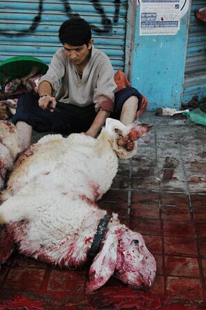 KARACHI/PAKISTAN_  Pakistanies celebrate Holy Eid, Eid-al-Adha with sacrificies Animals as old tradition from prophet Abrahim sacrifies his son Ismail to God, Pakistani celebrate Eid-al-Adha today and meat will distribute to among friends families and pooのeditorial素材