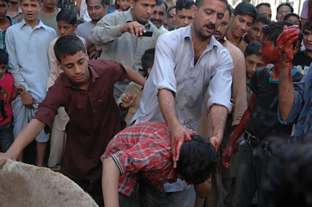 KARACHI/PAKISTAN_   3rd.day camel slaughtering to sacrificies in religious riual  to celebrate Eid -al- Adha in  on monday Azam Basti 29 Oct. 2012     のeditorial素材