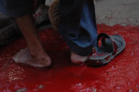 KARACHI/PAKISTAN_   3rd.day camel slaughtering to sacrificies in religious riual  to celebrate Eid -al- Adha in  on monday Azam Basti 29 Oct. 2012   のeditorial素材