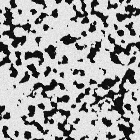 DalmatianTextureの写真素材