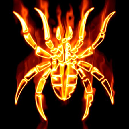 Spider surrounded by fire on a white backgroundの写真素材