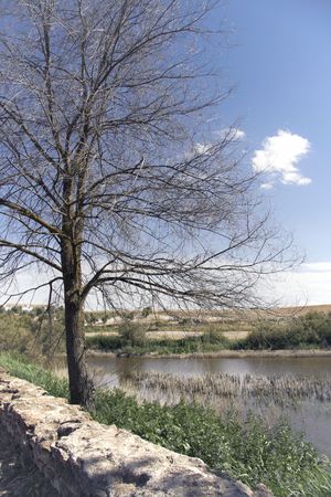 Guadiana river at Natural Park in Ciudad Real - Spainの写真素材