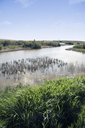 Guadiana river at Natural Park in Ciudad Real - Spainの写真素材