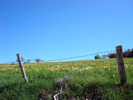 Camino de Santiago, Santiago de Compostelaの写真素材