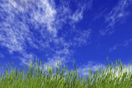 grass and cloudy sky の写真素材
