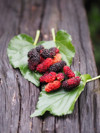 Mulberry put on brown woodの写真素材