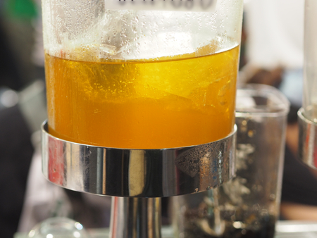 chrysanthemum tea Flower Yellow in Glass Jarの写真素材