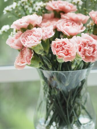 pink carnation in a glass vase set on the table window backgroundの写真素材