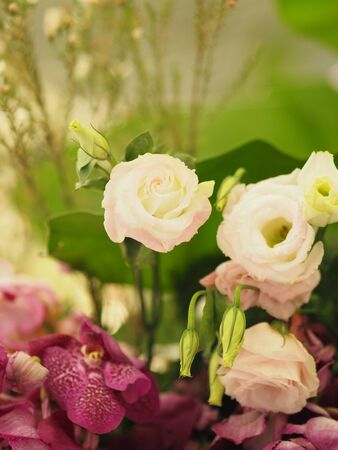 White pink color rose flower arrangement Beautiful bouquet on blurred of nature background symbol love for valentine day and love themeの写真素材