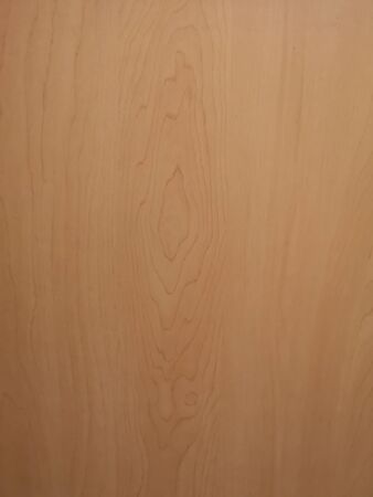 Top view brown wood pattern natural burr texture and surface material backgroundの写真素材