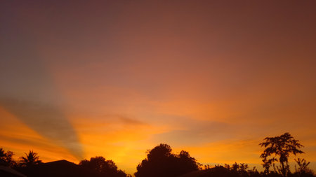 sunset, orange sky bush tree Silhouette black background natureの写真素材