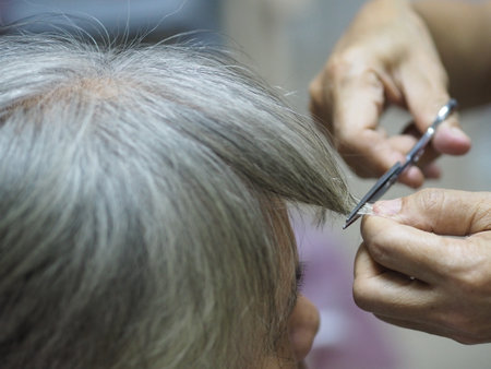 Hairdresser cutting gray hair of elderly woman in beauty salonの写真素材