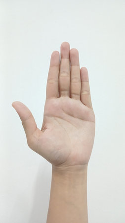 hand of a child on a white background close-up with copy space