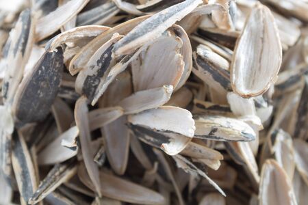 Closeup pile of husk from sunflower seeds on white backgroundの写真素材