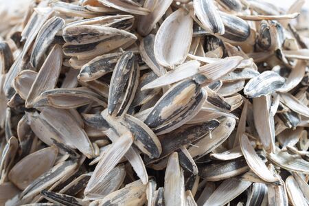 Closeup pile of husk from sunflower seeds on white backgroundの写真素材