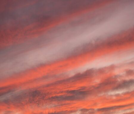 Great sky with sunset clouds all possible shades of pink and purple, big nature background.の写真素材