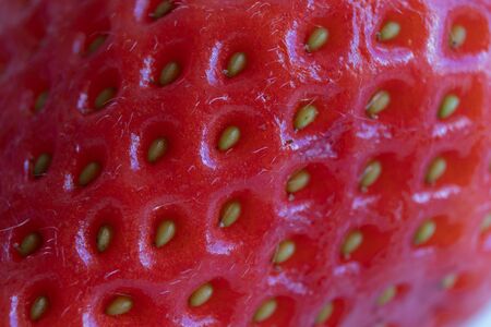 details of the outside of a strawberry. macro photographyの写真素材