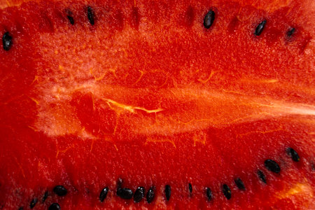 Texture of the cut of a watermelonの写真素材