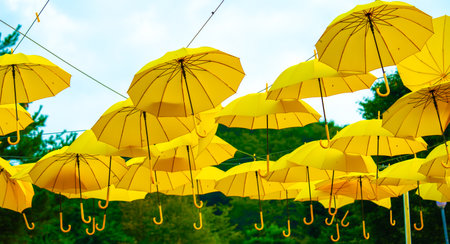 Yellow umbrellas background. Street decoration.