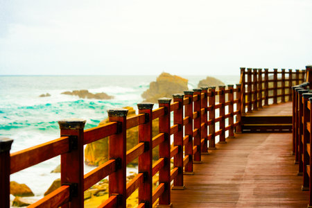 A path along the seashore, view of the East Sea watersの写真素材