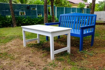 empty wooden bench with vibrant color under tree in ther parkの写真素材