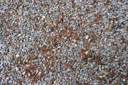 stone ground texture in the garden