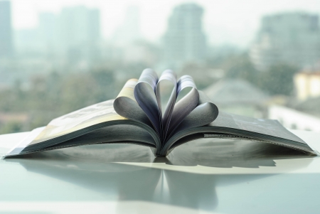 open book shaped into flower shows how book can create knowledge like planting flowers